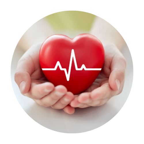 visuel ebook cohérence cardiaque