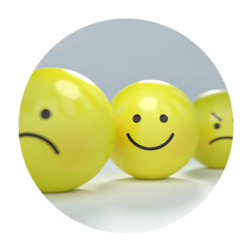 visuel ebook regulation emotionnelle