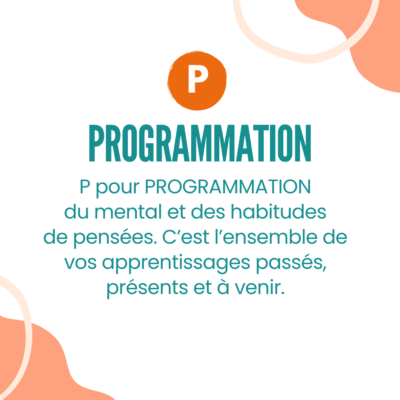 Qu’est-ce que la PNL dec 23 002 description de programmation de PNL